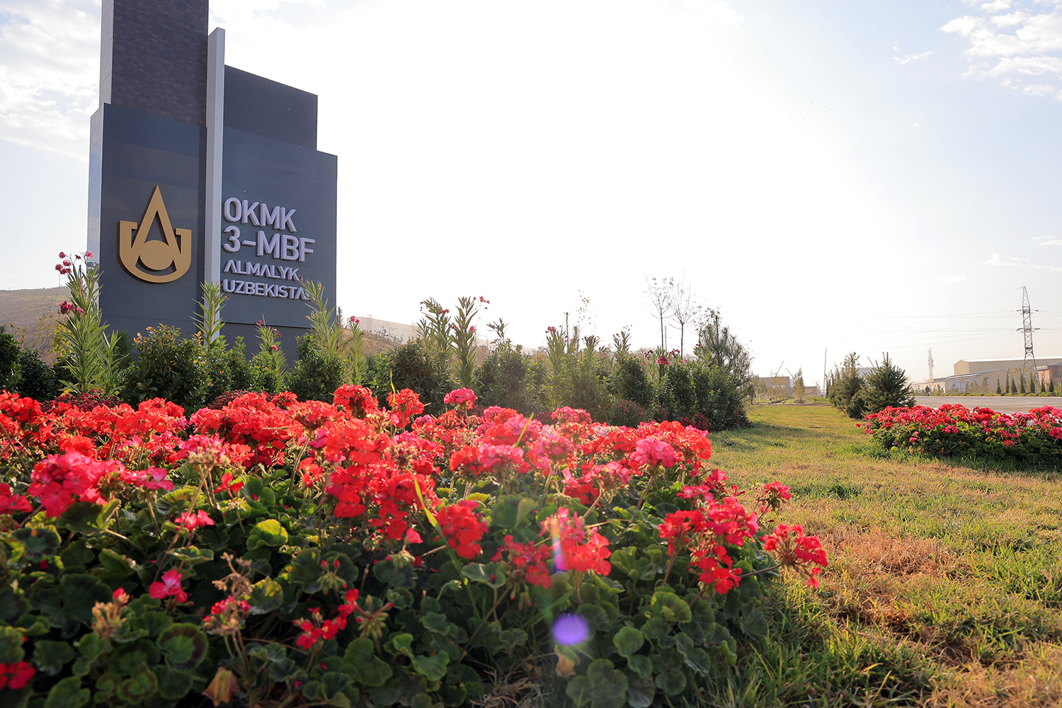 Медный гигант в цвету: МОФ-3 превращается в зелёный оазис