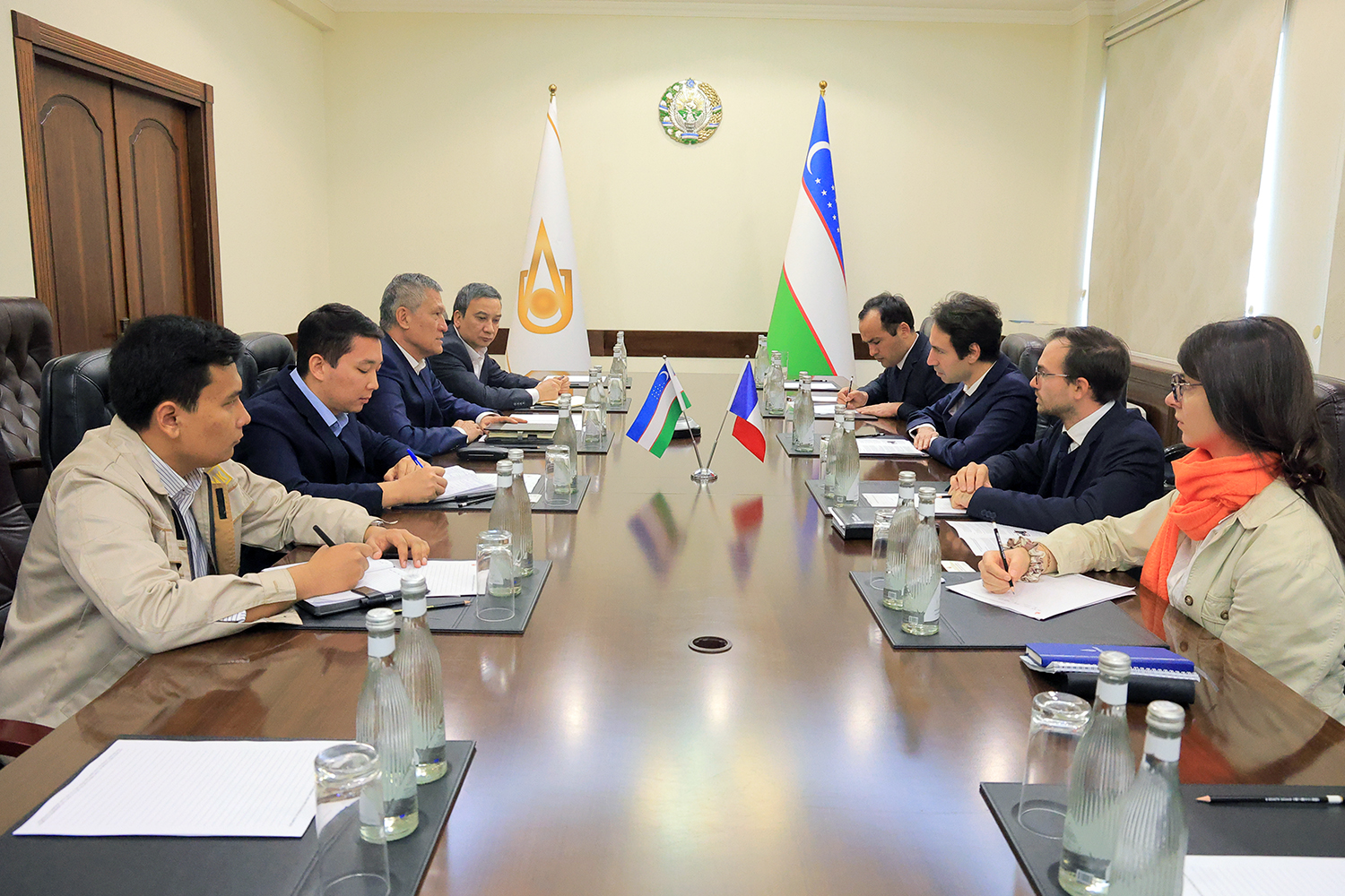 Французская дипломатия на АГМК