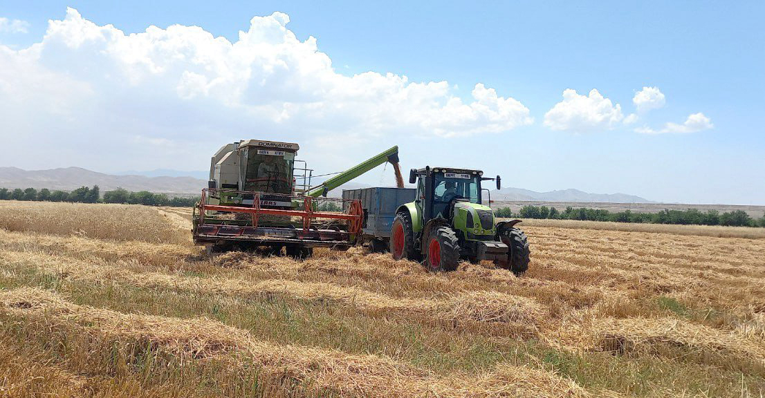 Obod manzillarni obod ko‘ngillar yaratadi