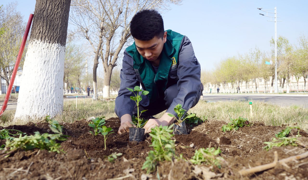 The nationwide charity hashar will be held in our country on August 22-23