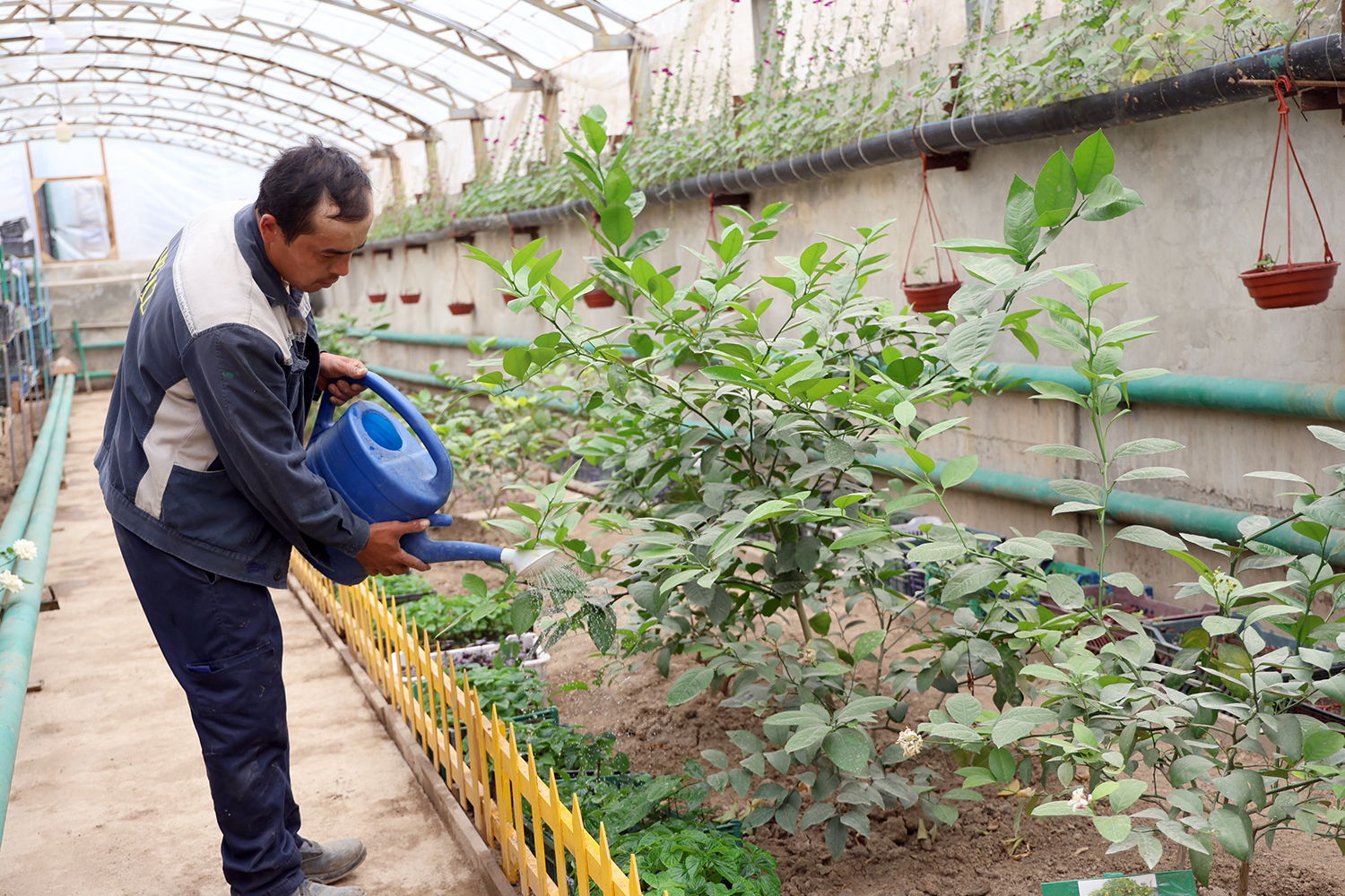 OKMKda “Yashil makon”: Ezgu tashabbus amalda